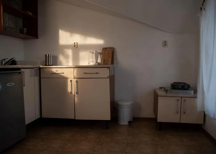 лора 辛尼莫雷特