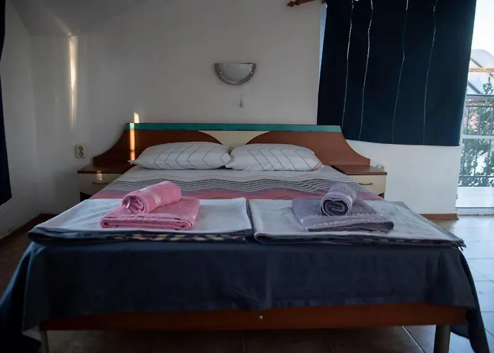 лора 辛尼莫雷特